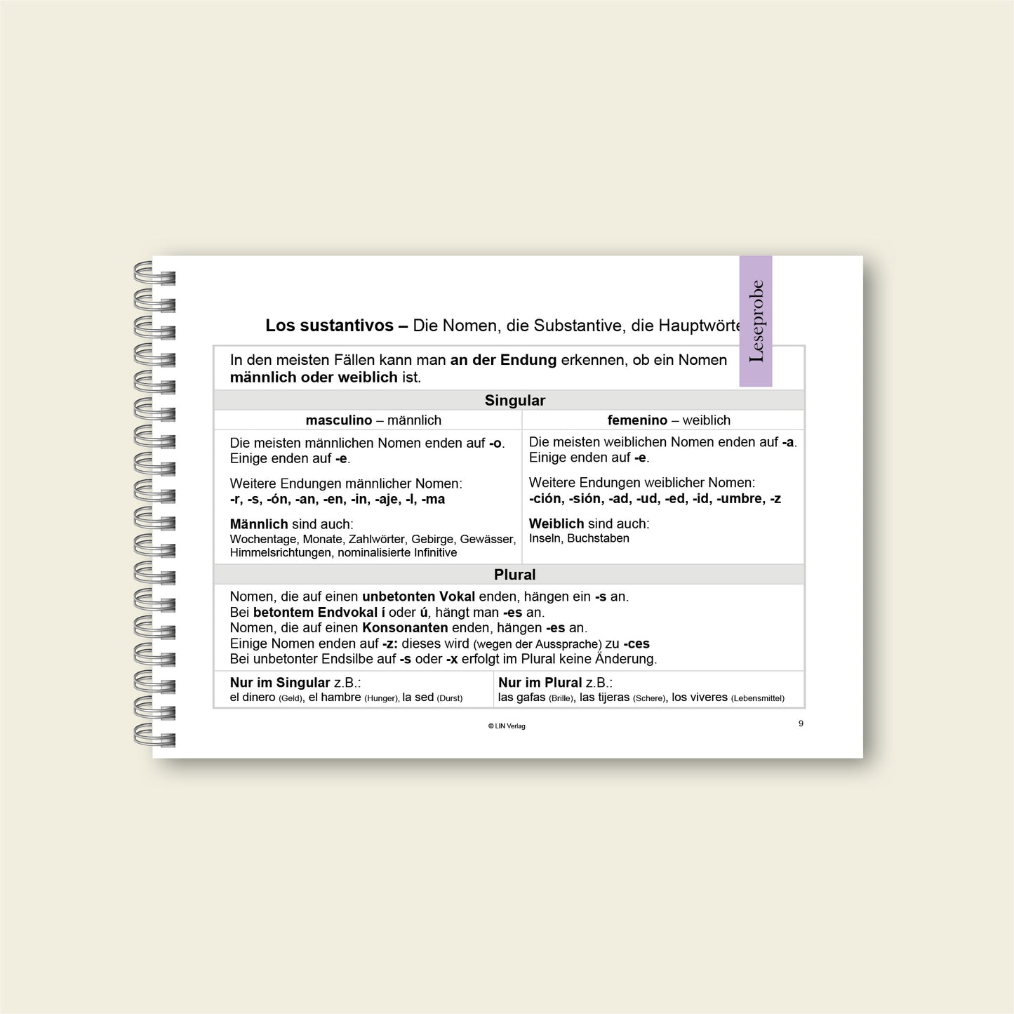 Grammatikfolder Spanisch - Regeln/Erklärungen LIN