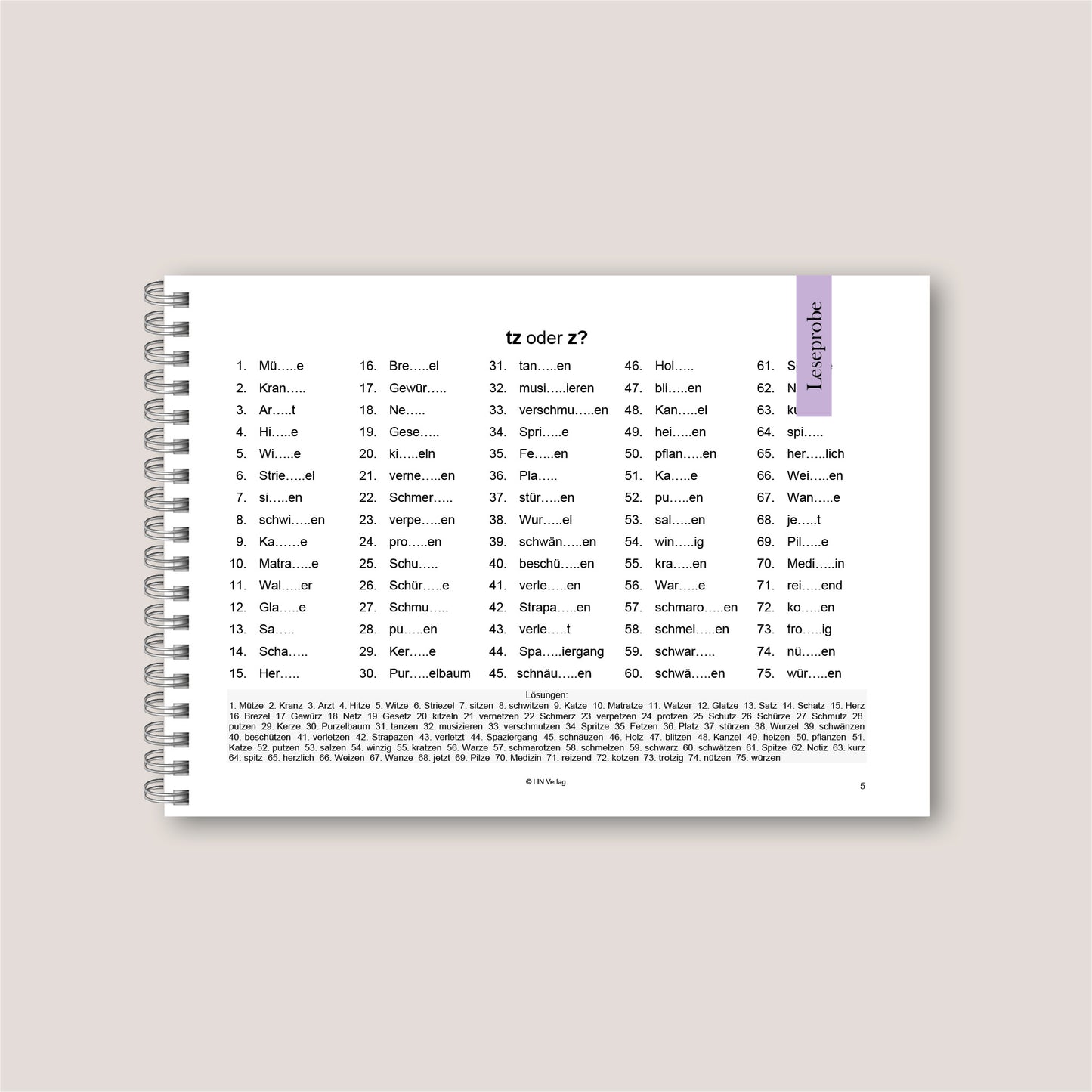 Rechtschreibfolder Deutsch - Regeln/Übungen LIN