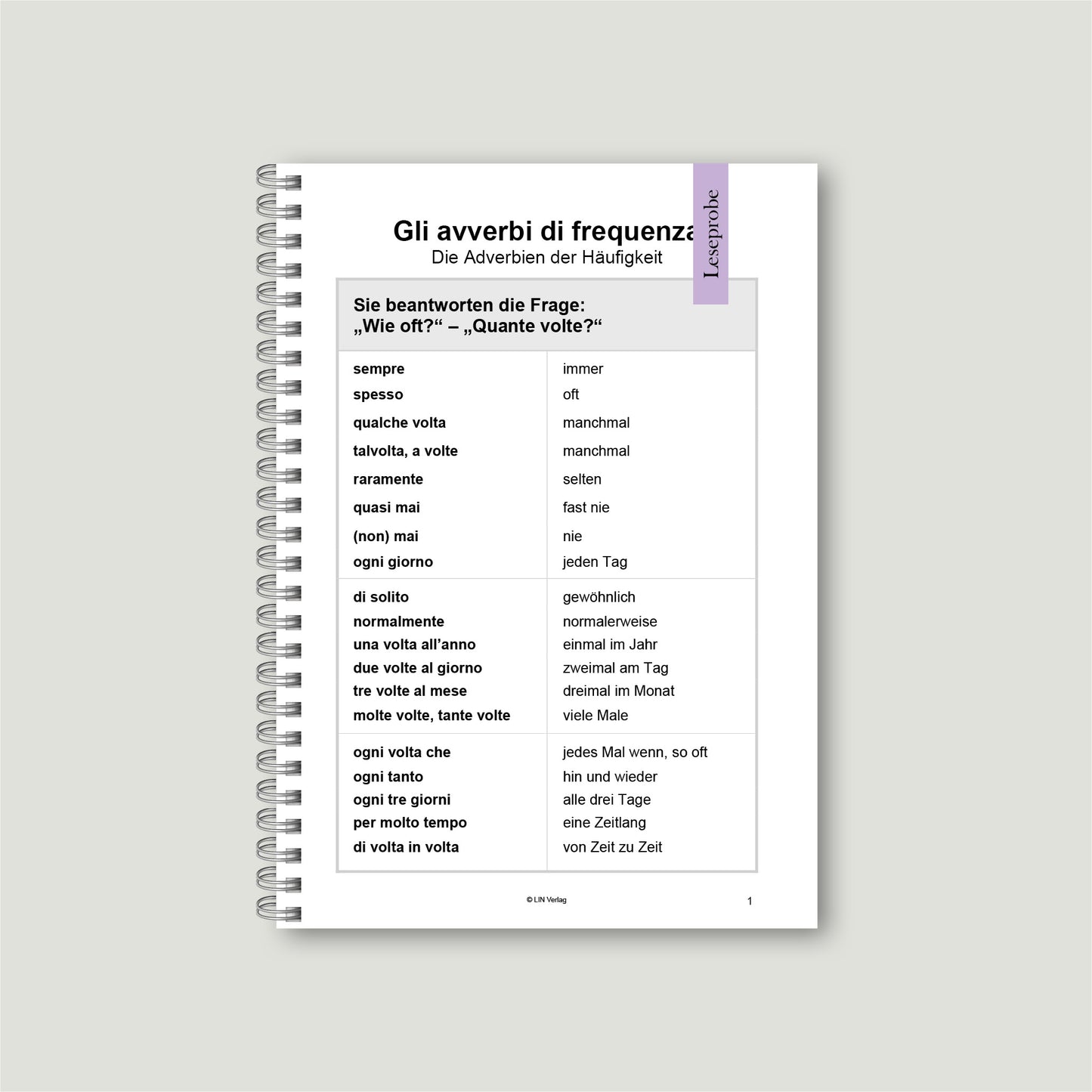 Übungsbuch: La Pratica Rende Perfetti 2