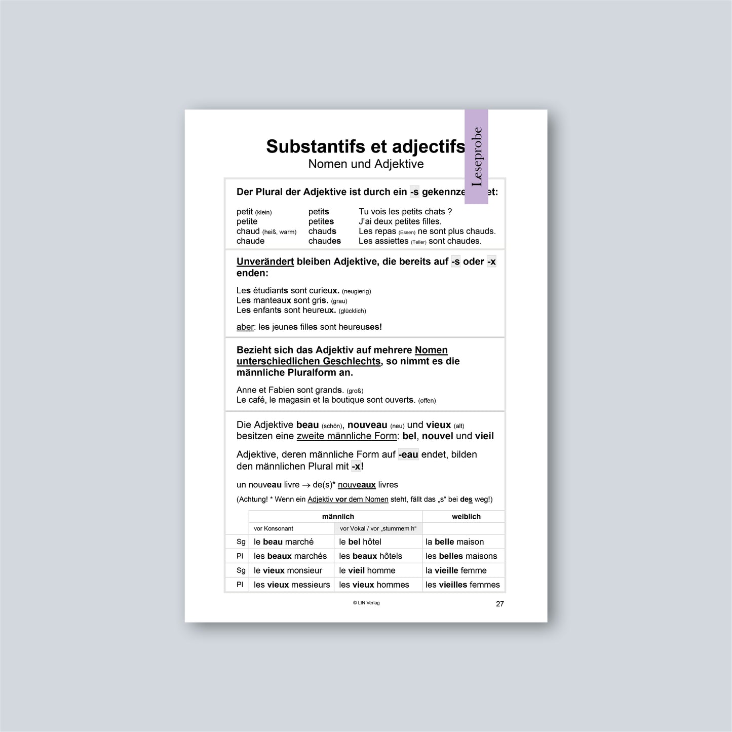 AB JULI: Grammatik-Übungsbuch Französisch: La perfection vient en pratiquant 1 (Softcover)